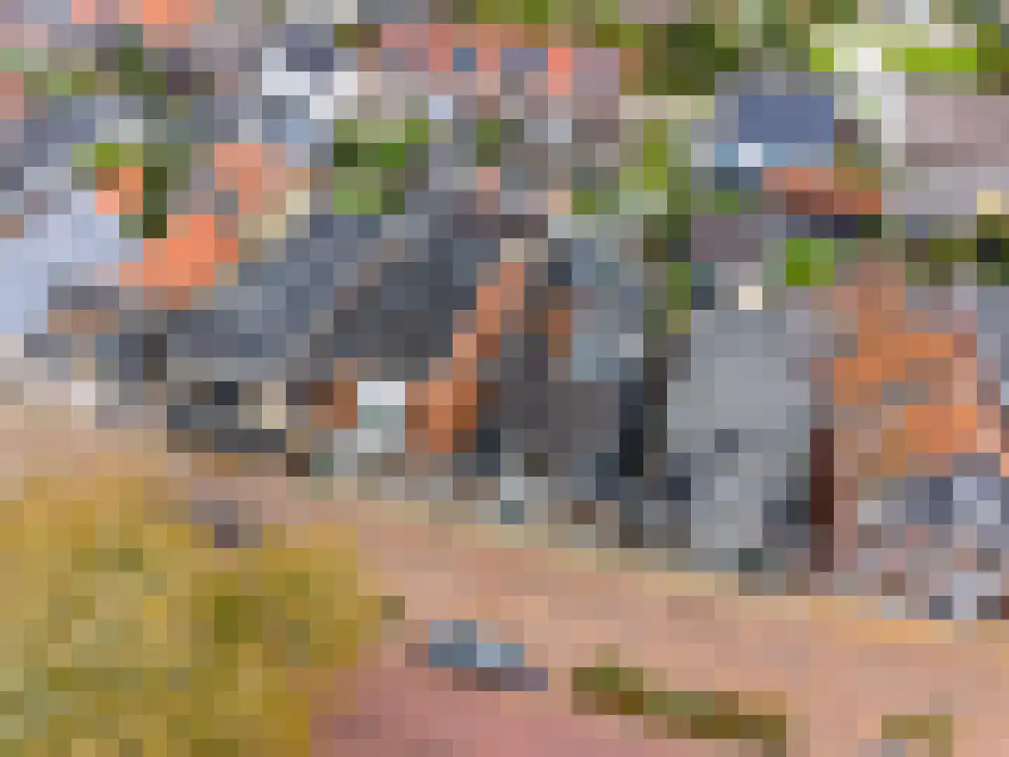 Heechein 12 Akkrum thumbnail 35