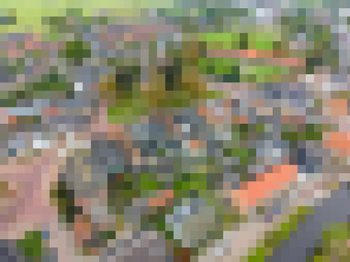 Heechein 12 Akkrum thumbnail 39