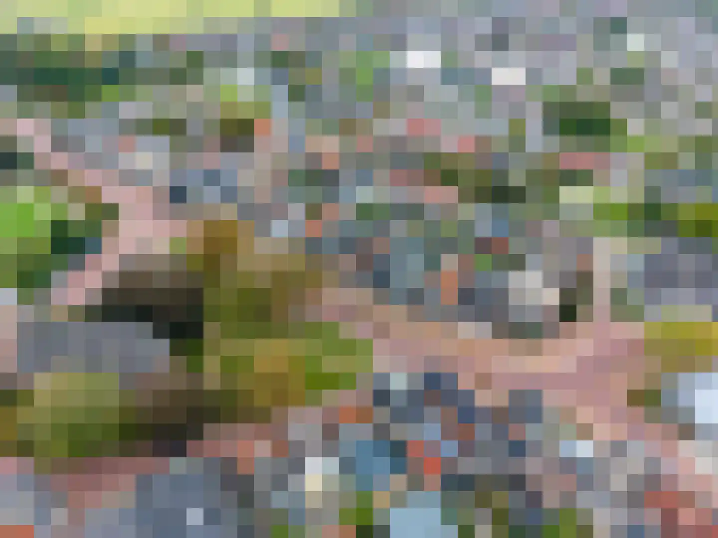 Heechein 12 Akkrum thumbnail 41