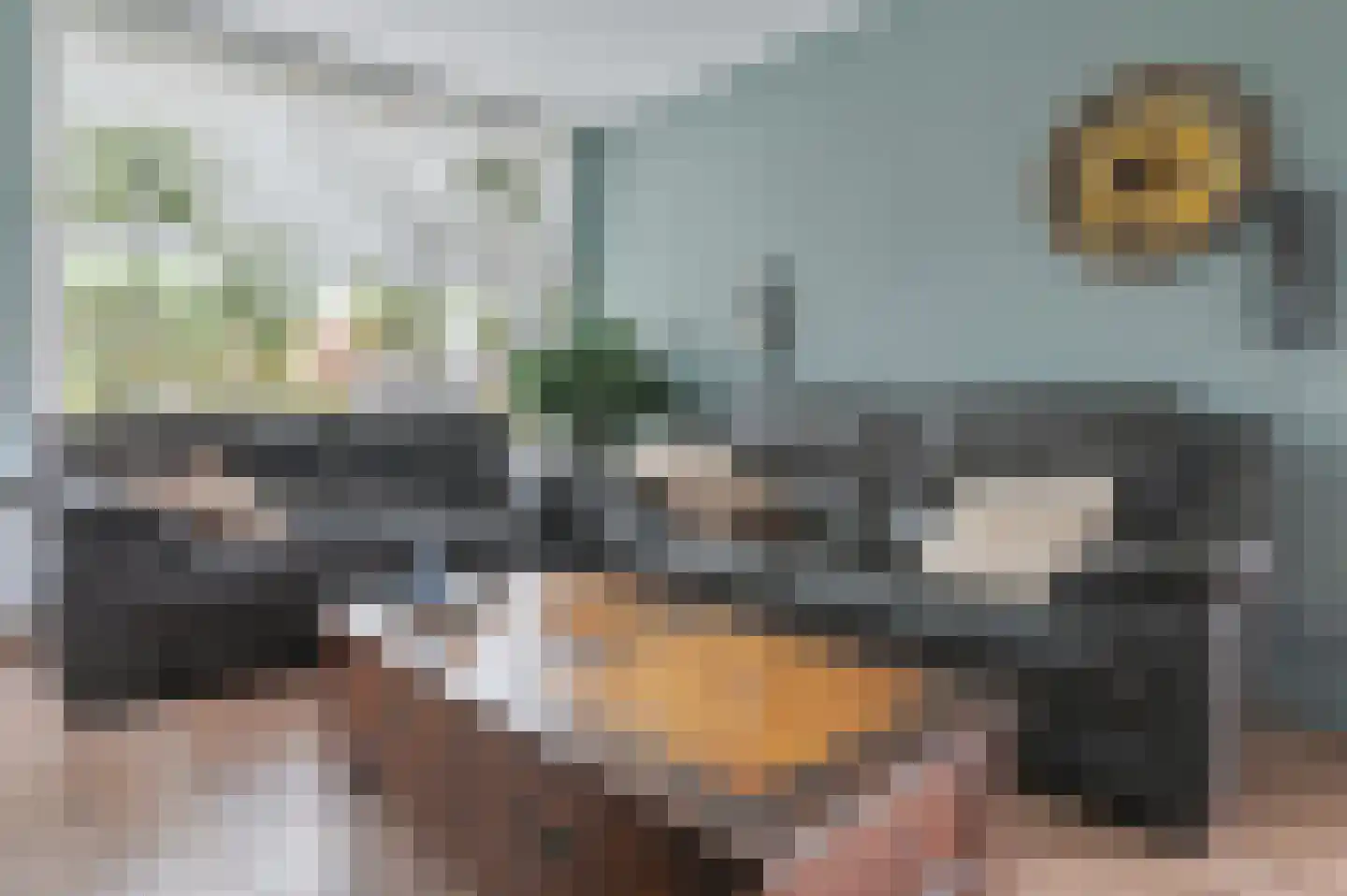 Heechfinne 4 Akkrum thumbnail 12