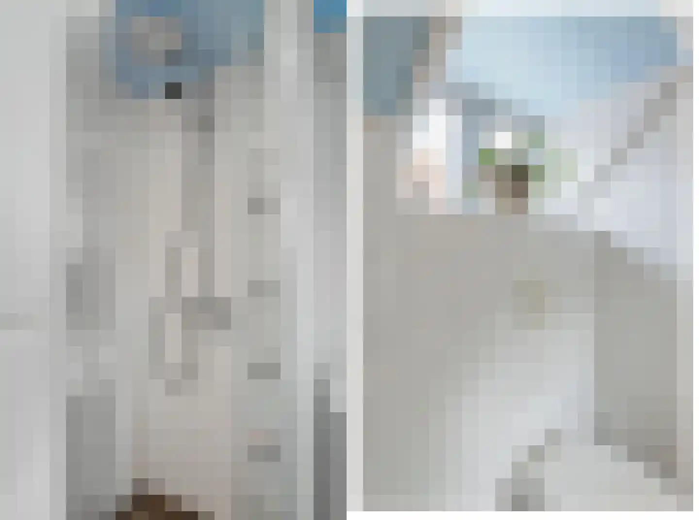 Heechfinne 4 Akkrum thumbnail 5