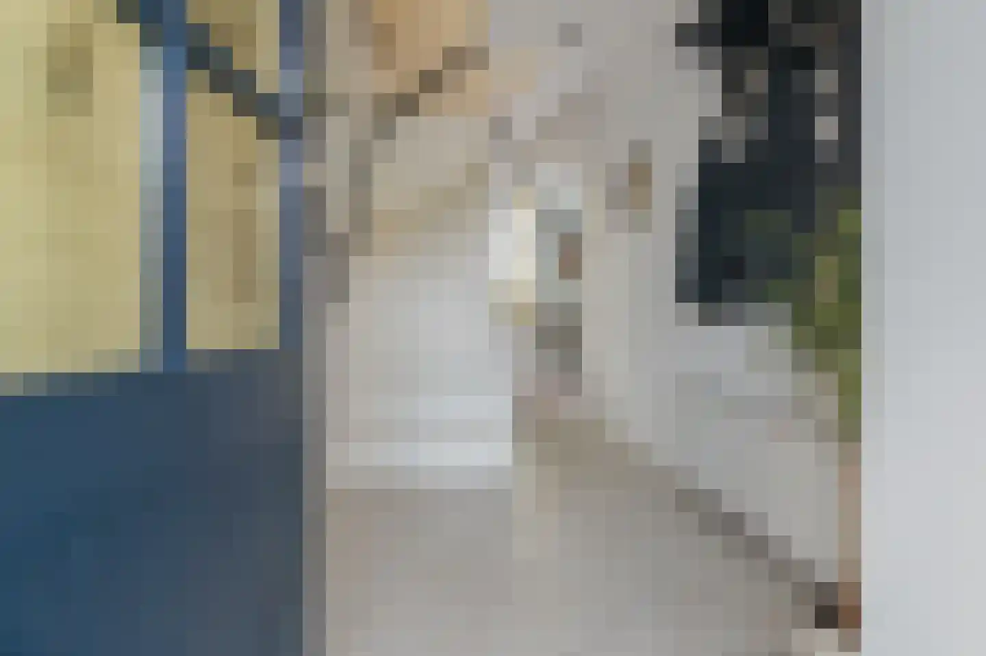 Heechfinne 4 Akkrum thumbnail 8