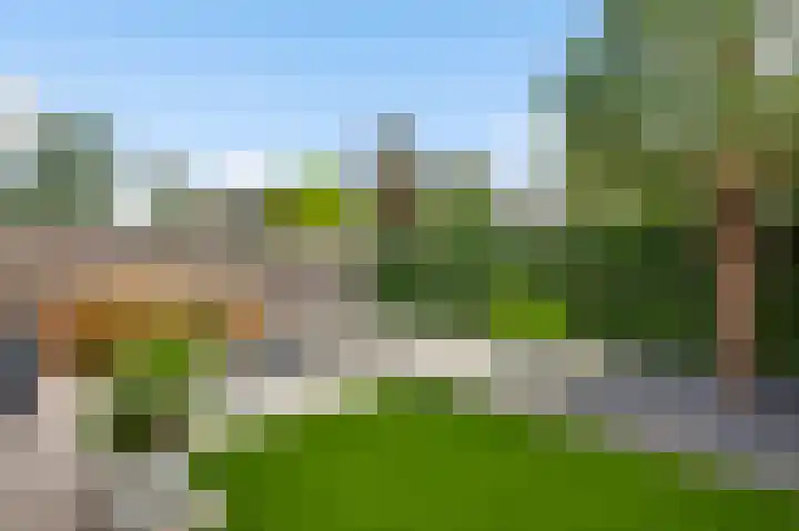 Heechfinne 4 Akkrum thumbnail 9