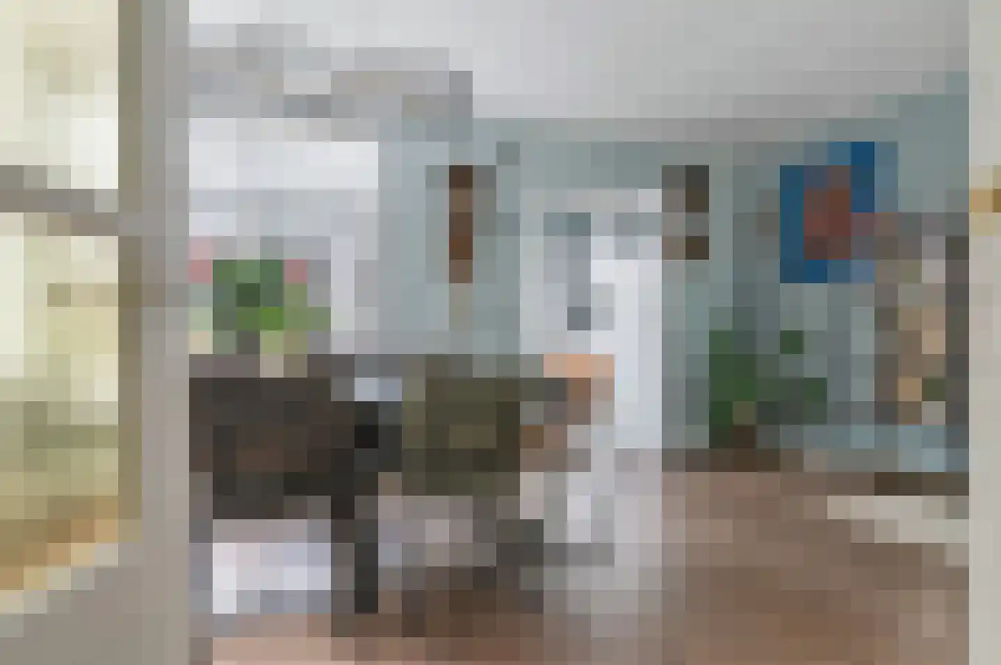 Heechfinne 4 Akkrum thumbnail 9