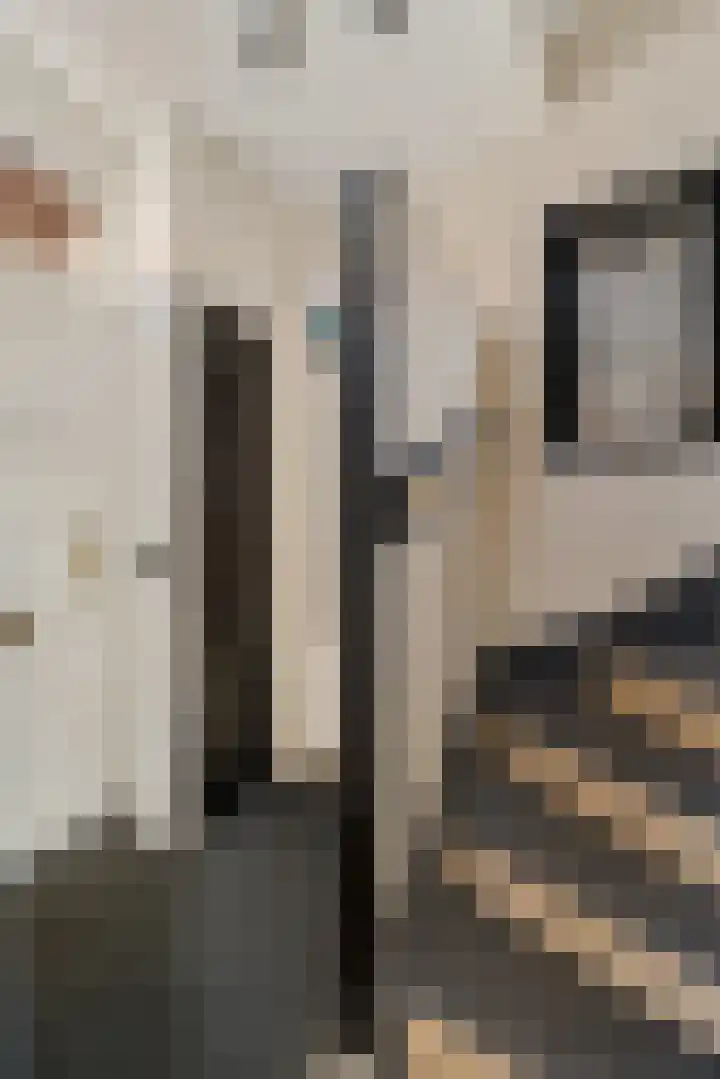 Heechfinne 6 Akkrum thumbnail 12