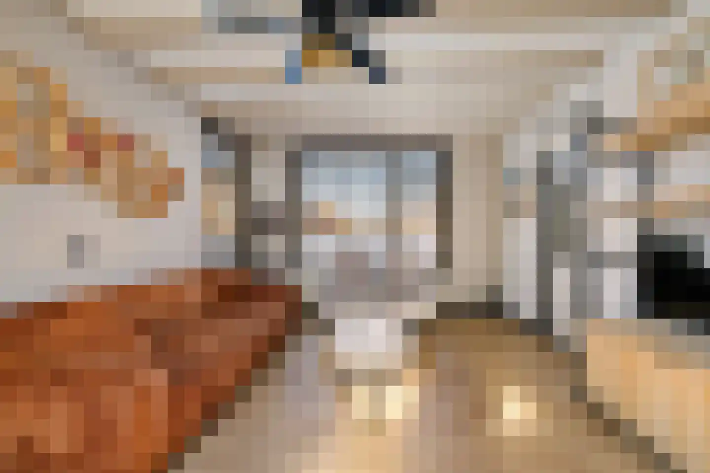 Heechfinne 6 Akkrum thumbnail 15