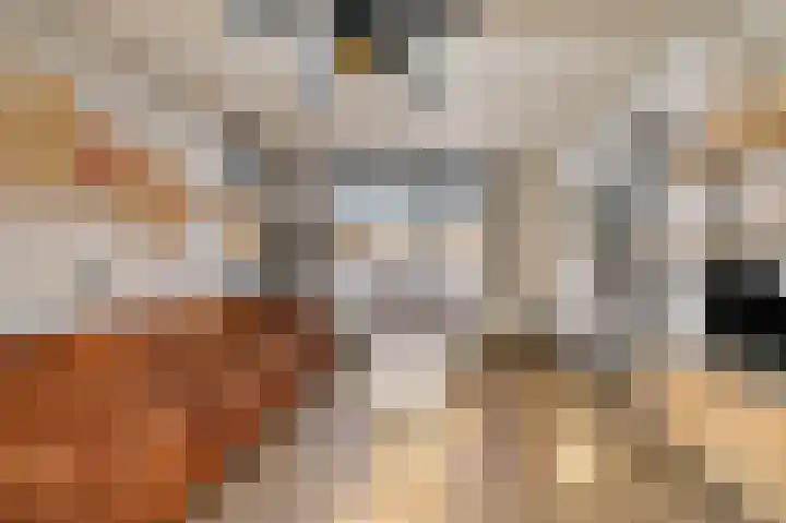 Heechfinne 6 Akkrum thumbnail 15