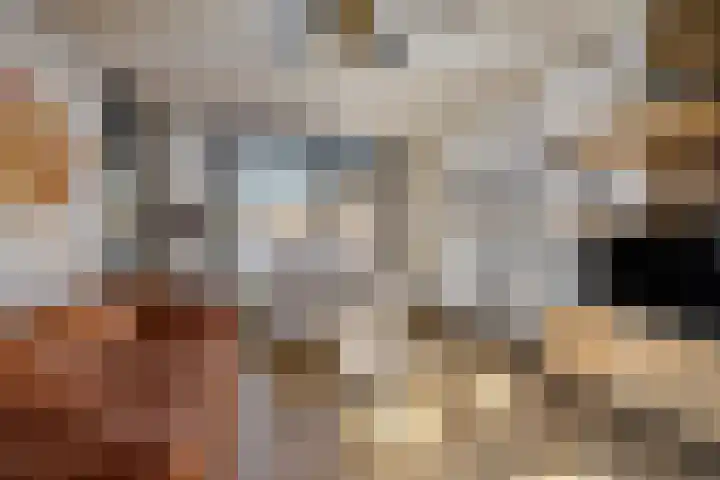 Heechfinne 6 Akkrum thumbnail 16