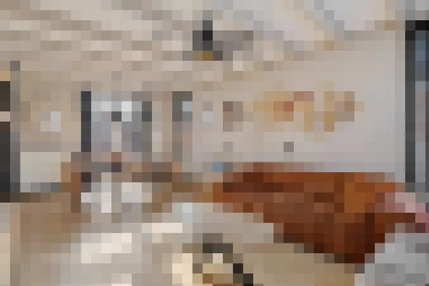 Heechfinne 6 Akkrum thumbnail 18