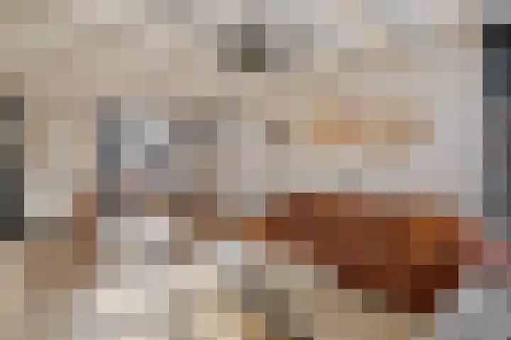 Heechfinne 6 Akkrum thumbnail 18