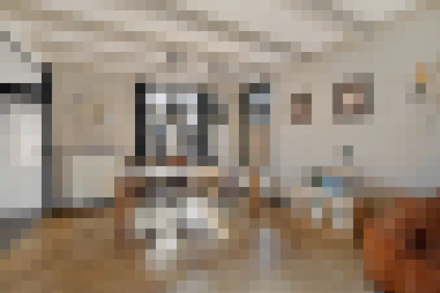 Heechfinne 6 Akkrum thumbnail 19