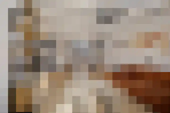 Heechfinne 6 Akkrum foto 2