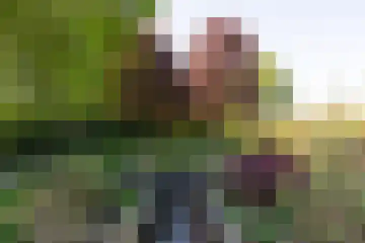 Heechfinne 6 Akkrum thumbnail 20
