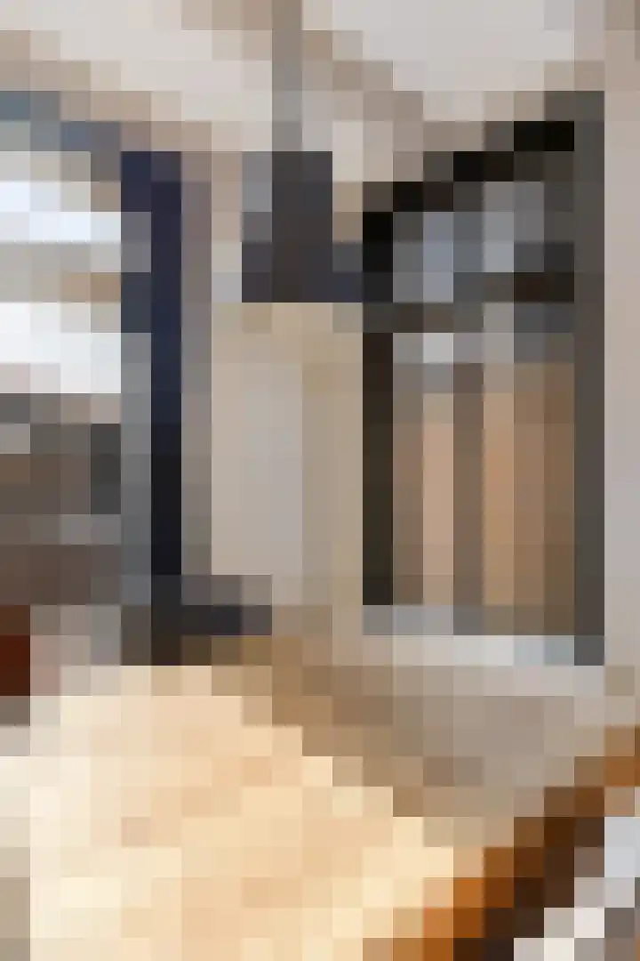 Heechfinne 6 Akkrum thumbnail 21