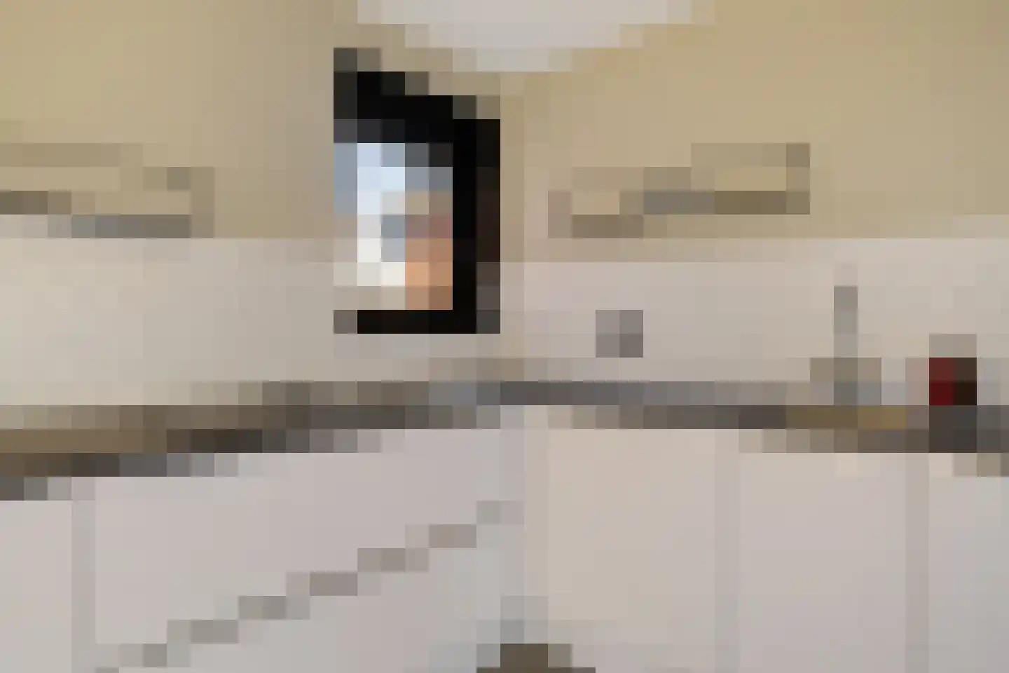 Heechfinne 6 Akkrum thumbnail 23