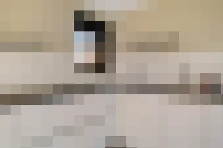 Heechfinne 6 Akkrum thumbnail 23