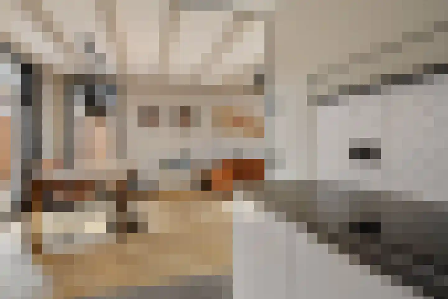 Heechfinne 6 Akkrum thumbnail 24