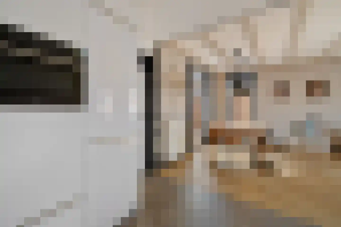 Heechfinne 6 Akkrum thumbnail 26