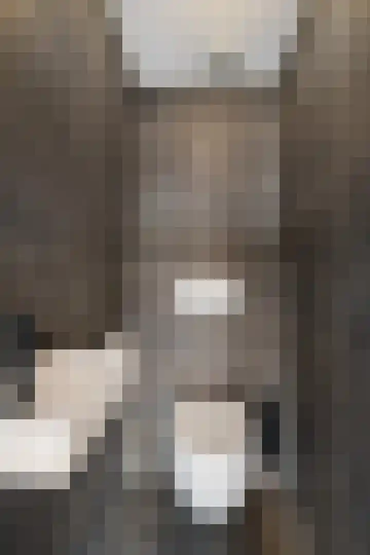Heechfinne 6 Akkrum thumbnail 29