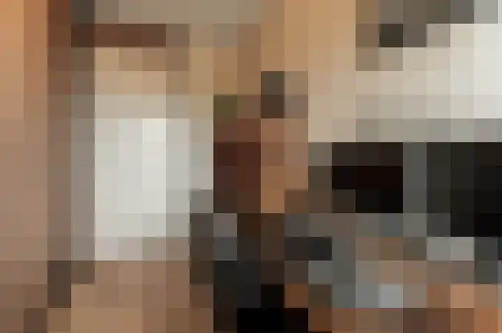 Heechfinne 6 Akkrum foto 3