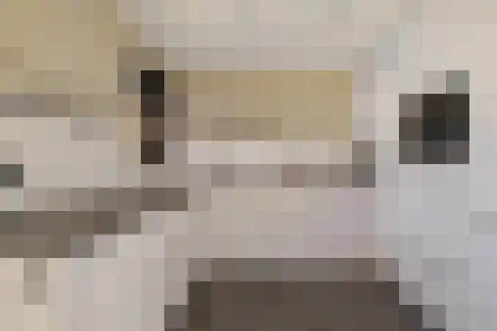 Heechfinne 6 Akkrum foto 3