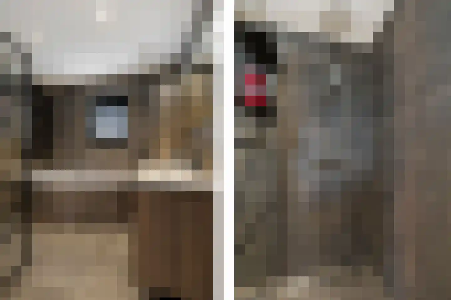 Heechfinne 6 Akkrum thumbnail 30