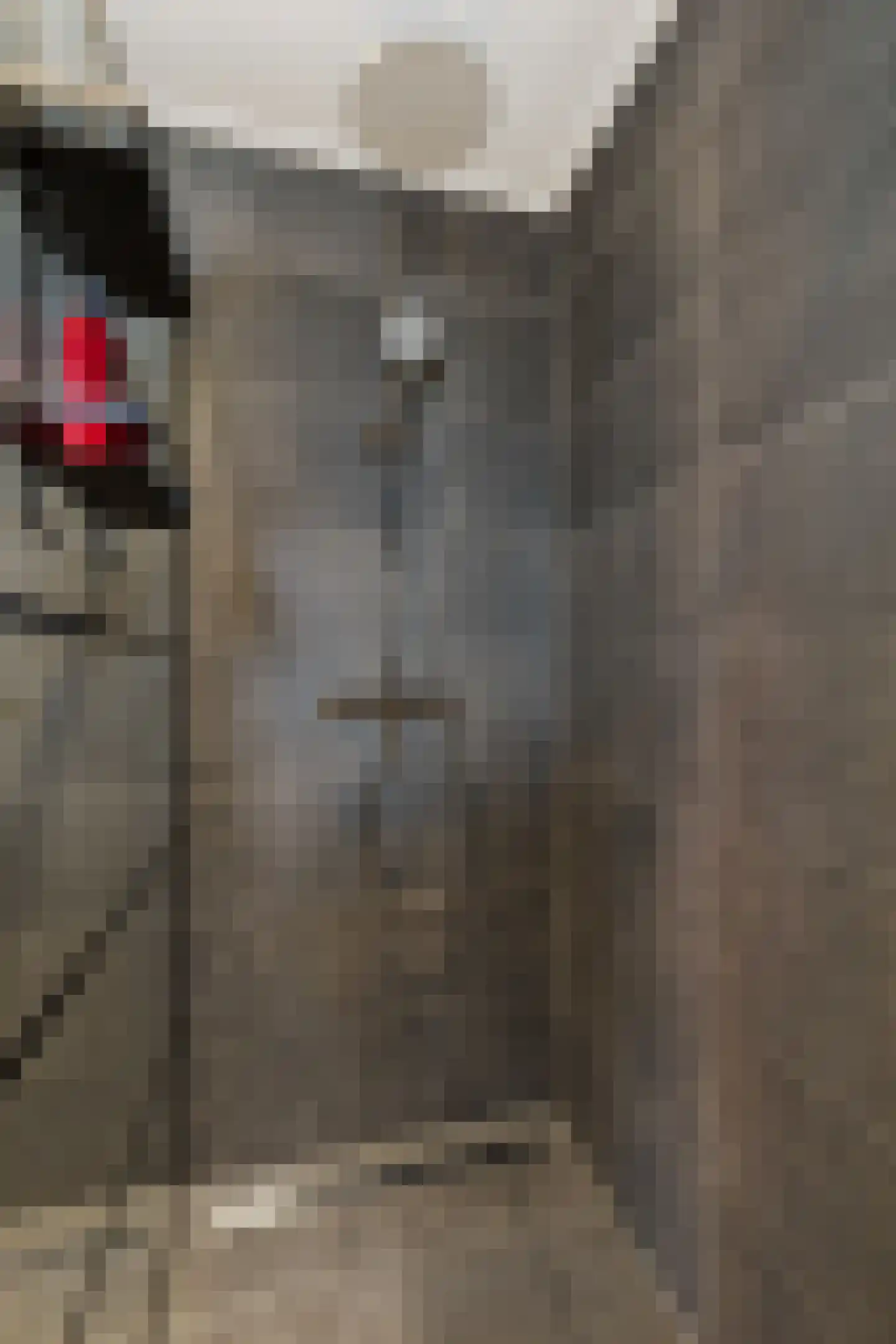 Heechfinne 6 Akkrum thumbnail 33