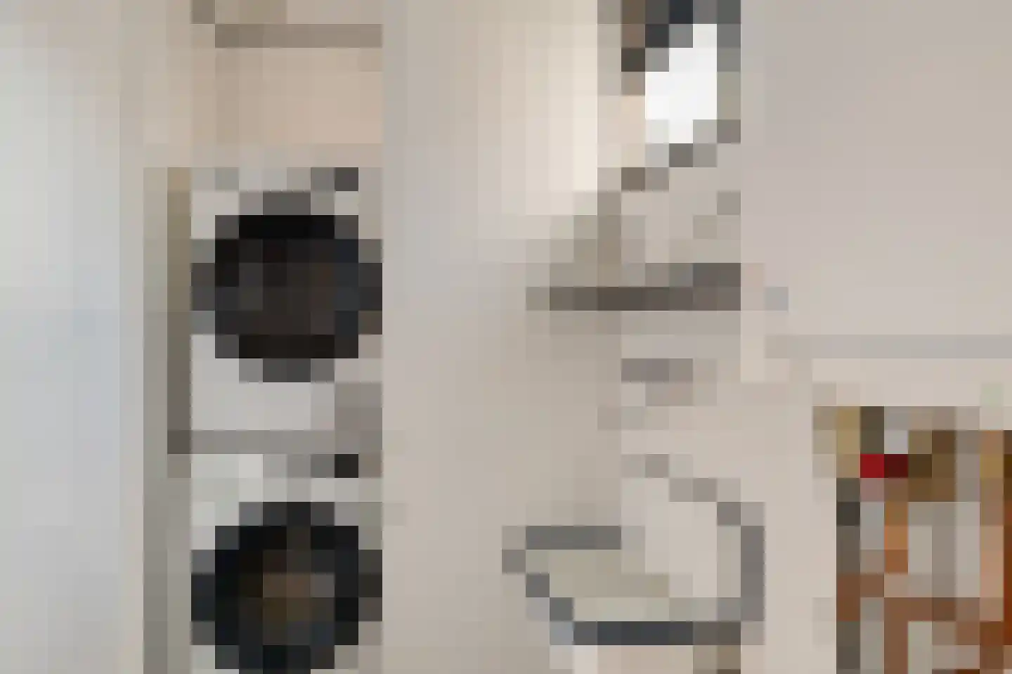 Heechfinne 6 Akkrum thumbnail 34