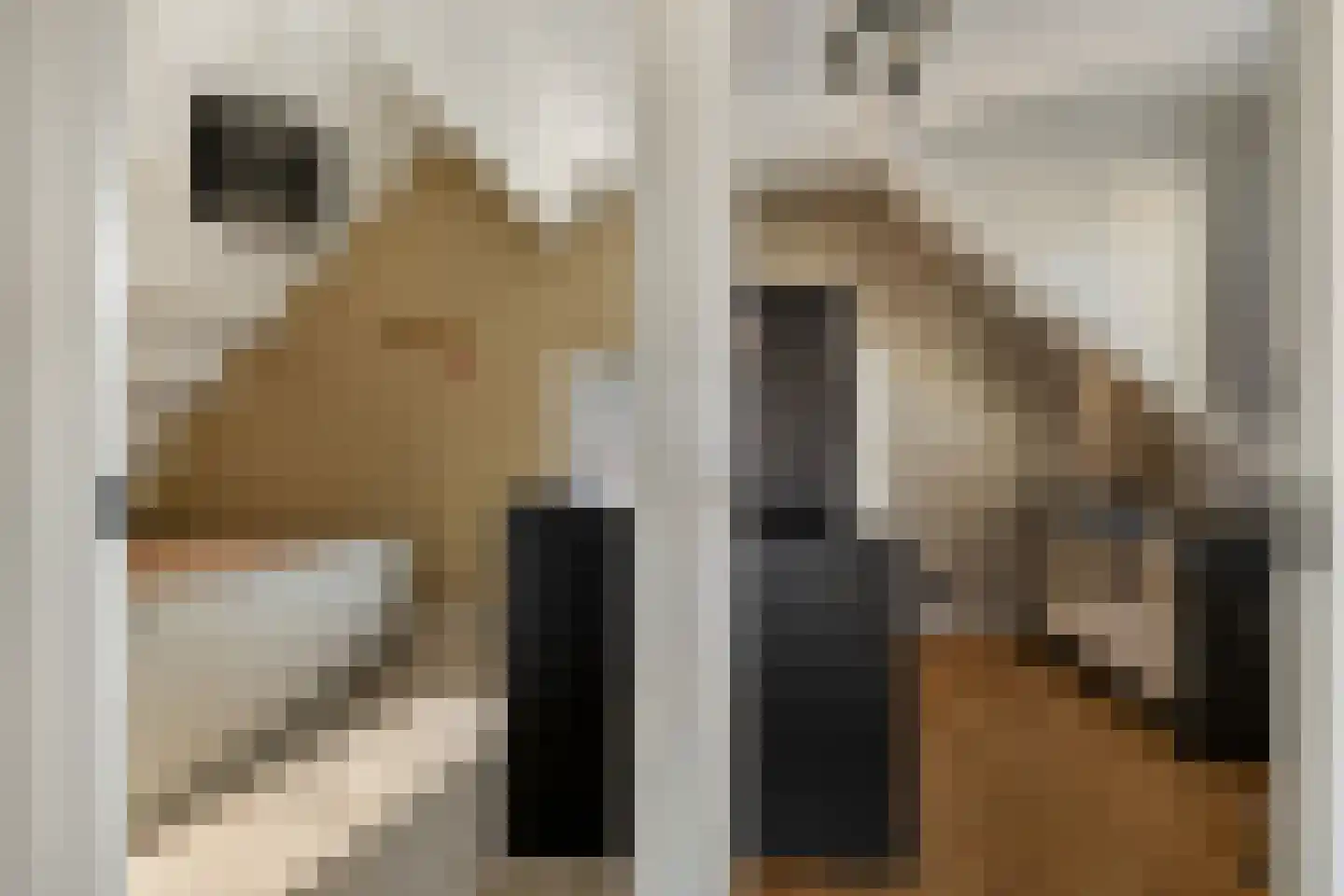 Heechfinne 6 Akkrum thumbnail 38