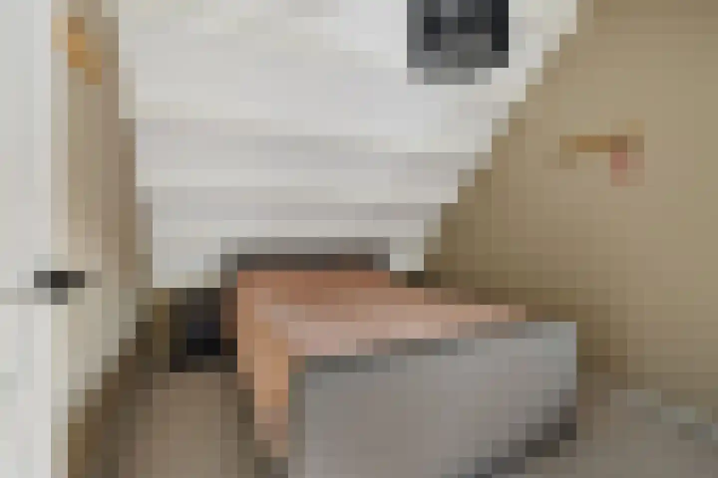 Heechfinne 6 Akkrum thumbnail 39