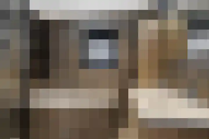 Heechfinne 6 Akkrum thumbnail 4