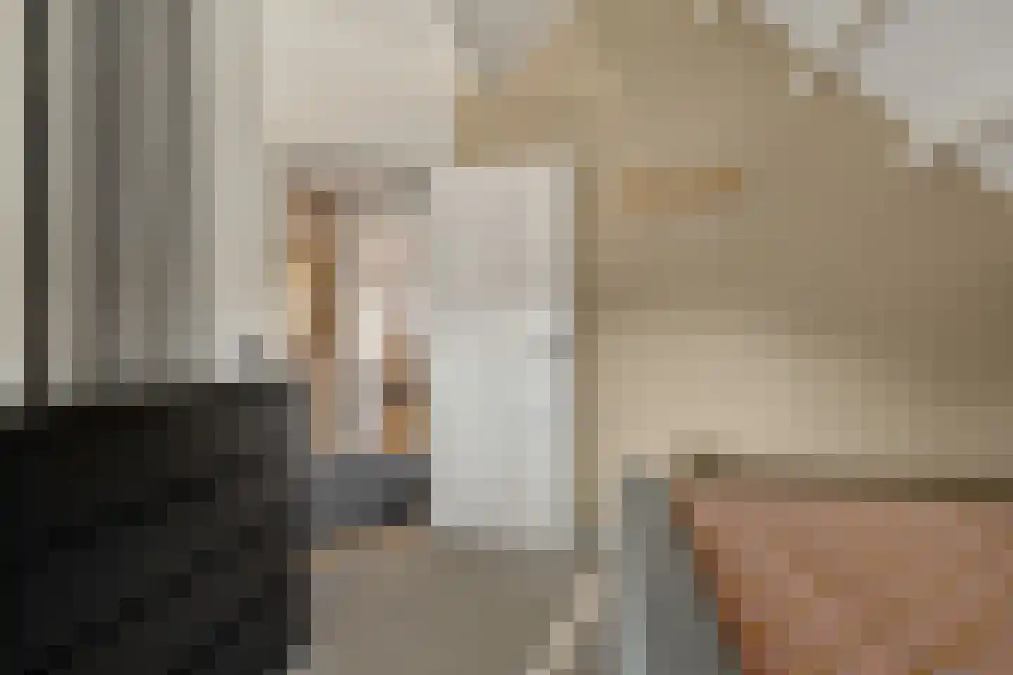 Heechfinne 6 Akkrum thumbnail 40