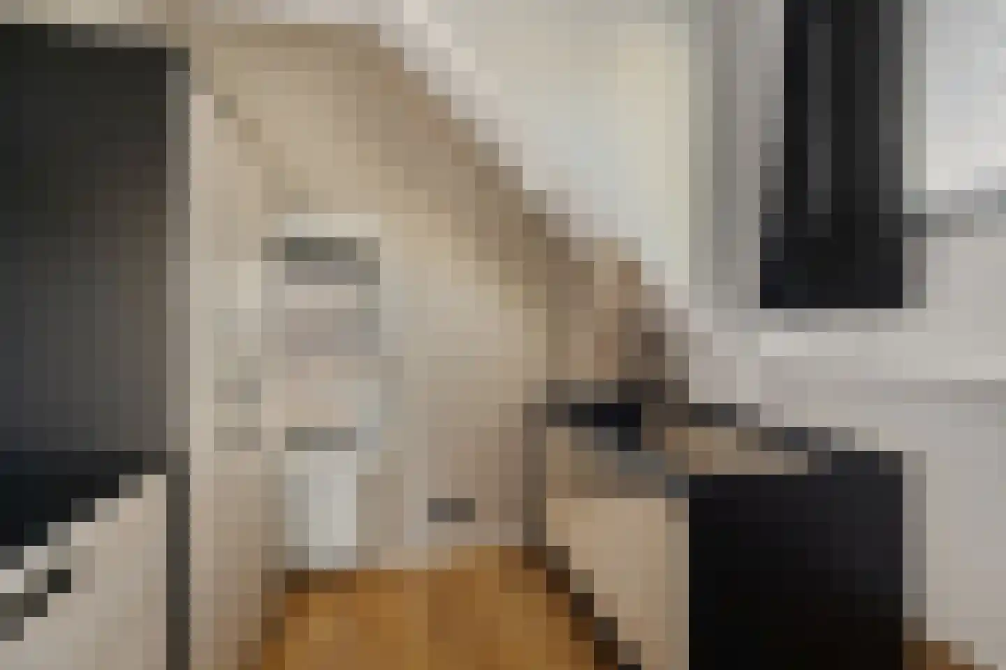 Heechfinne 6 Akkrum thumbnail 41