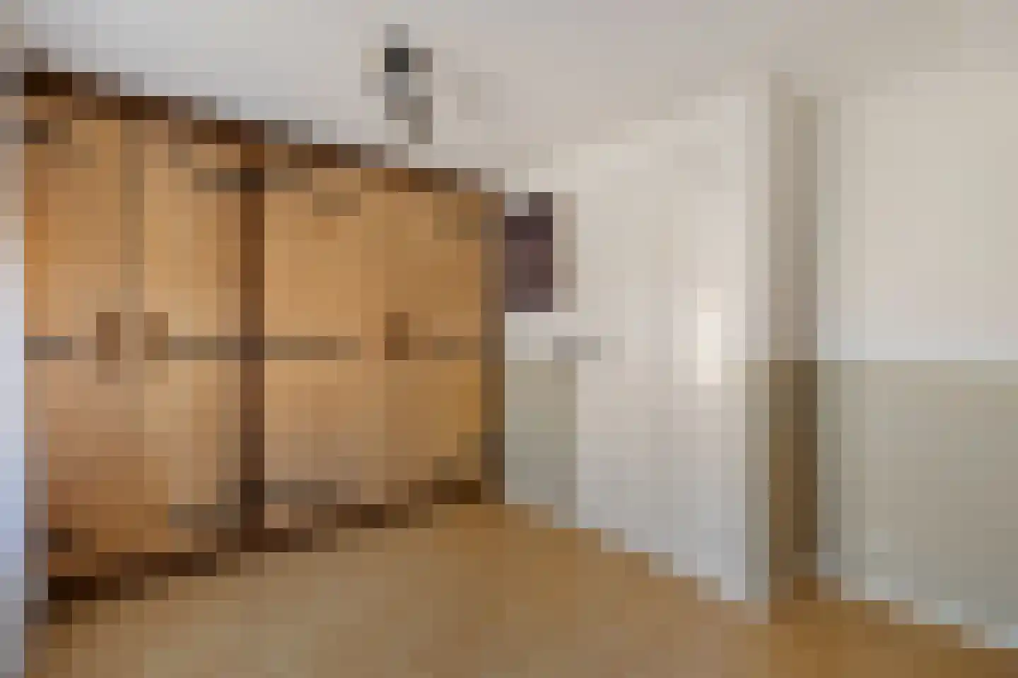 Heechfinne 6 Akkrum thumbnail 47