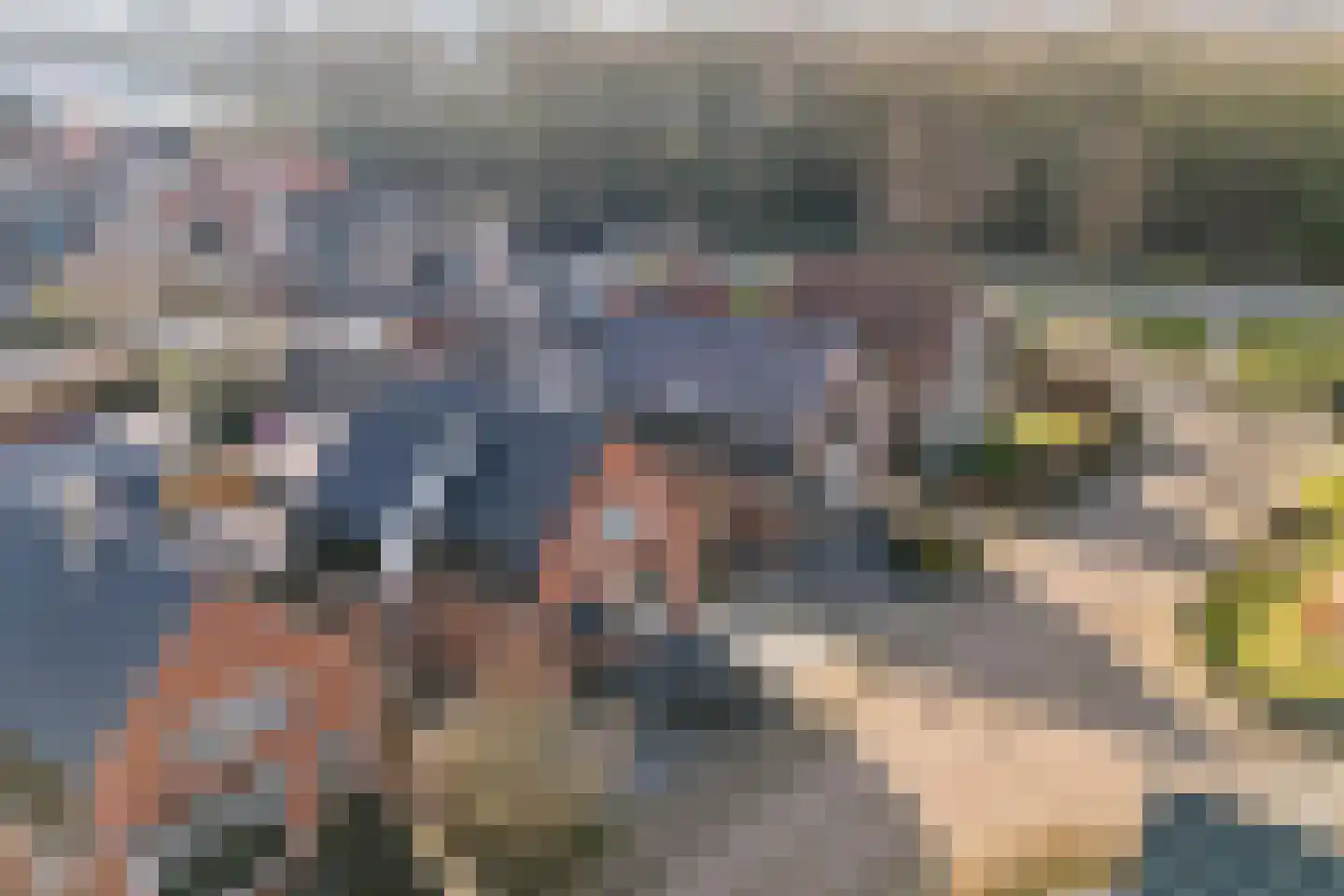 Heechfinne 6 Akkrum thumbnail 56