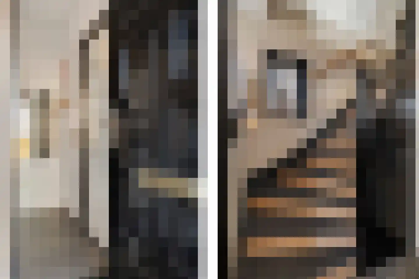 Heechfinne 6 Akkrum thumbnail 59