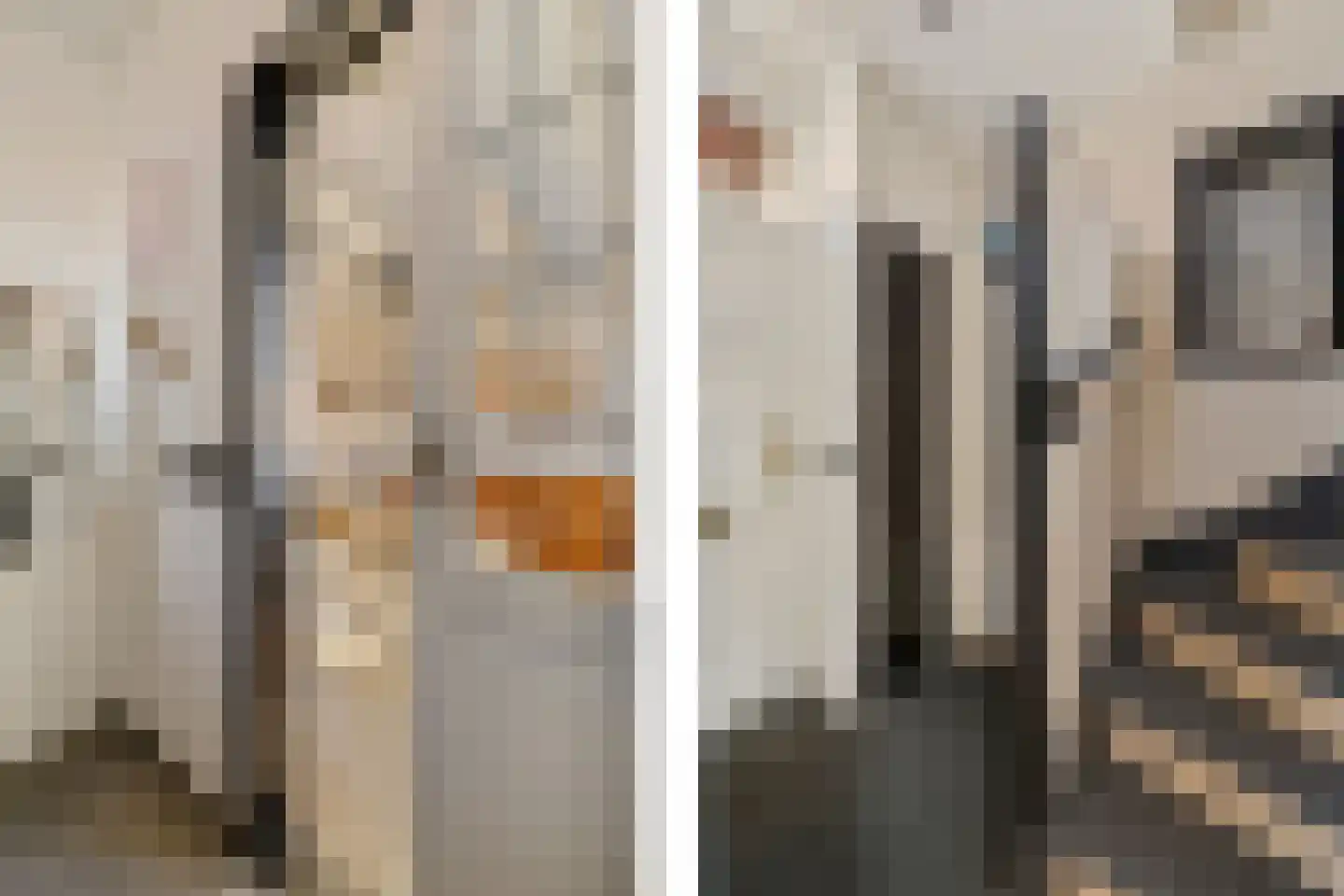 Heechfinne 6 Akkrum thumbnail 60