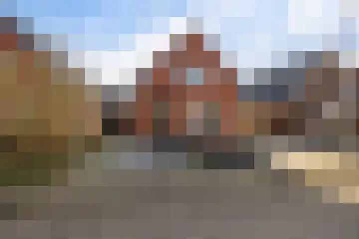 Heechfinne 6 Akkrum thumbnail 8