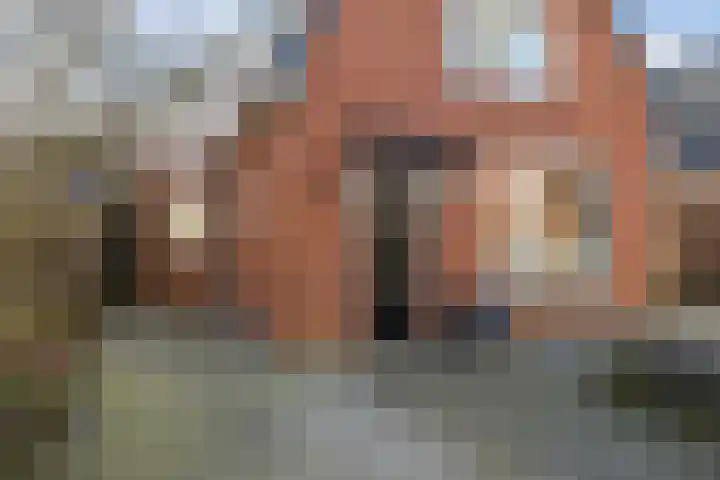 Heechfinne 6 Akkrum thumbnail 9