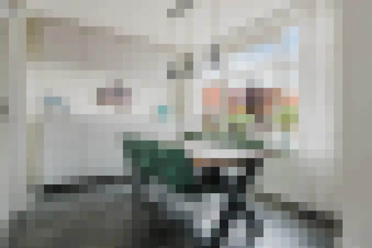 Heechfinne 7 Akkrum thumbnail 16
