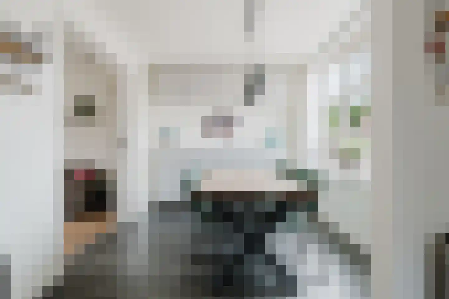 Heechfinne 7 Akkrum thumbnail 17