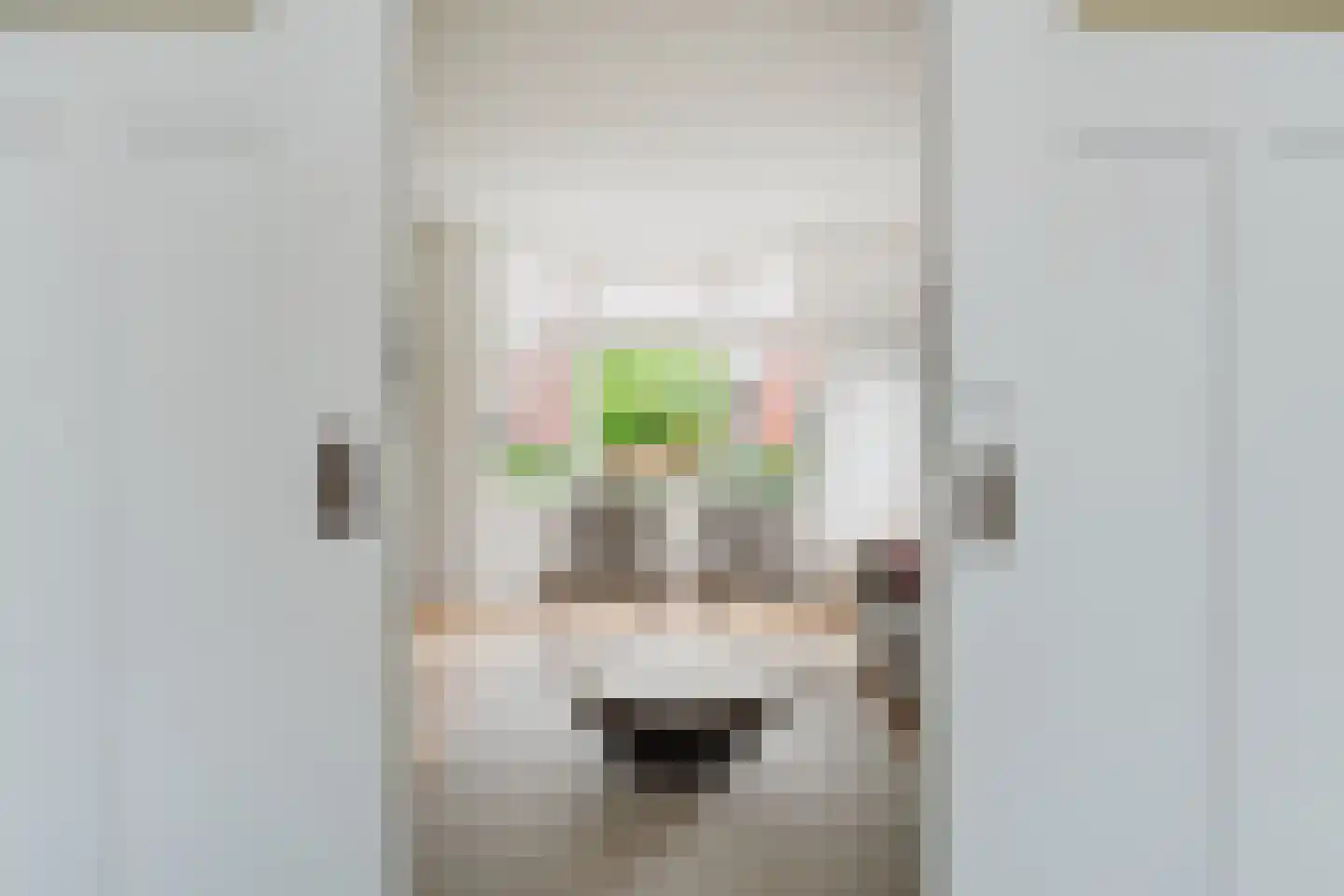 Heechfinne 7 Akkrum thumbnail 18