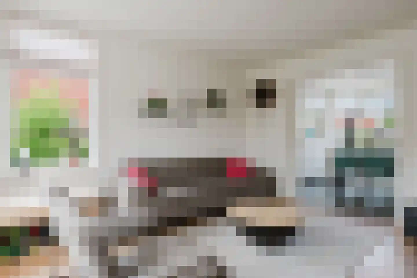 Heechfinne 7 Akkrum thumbnail 19