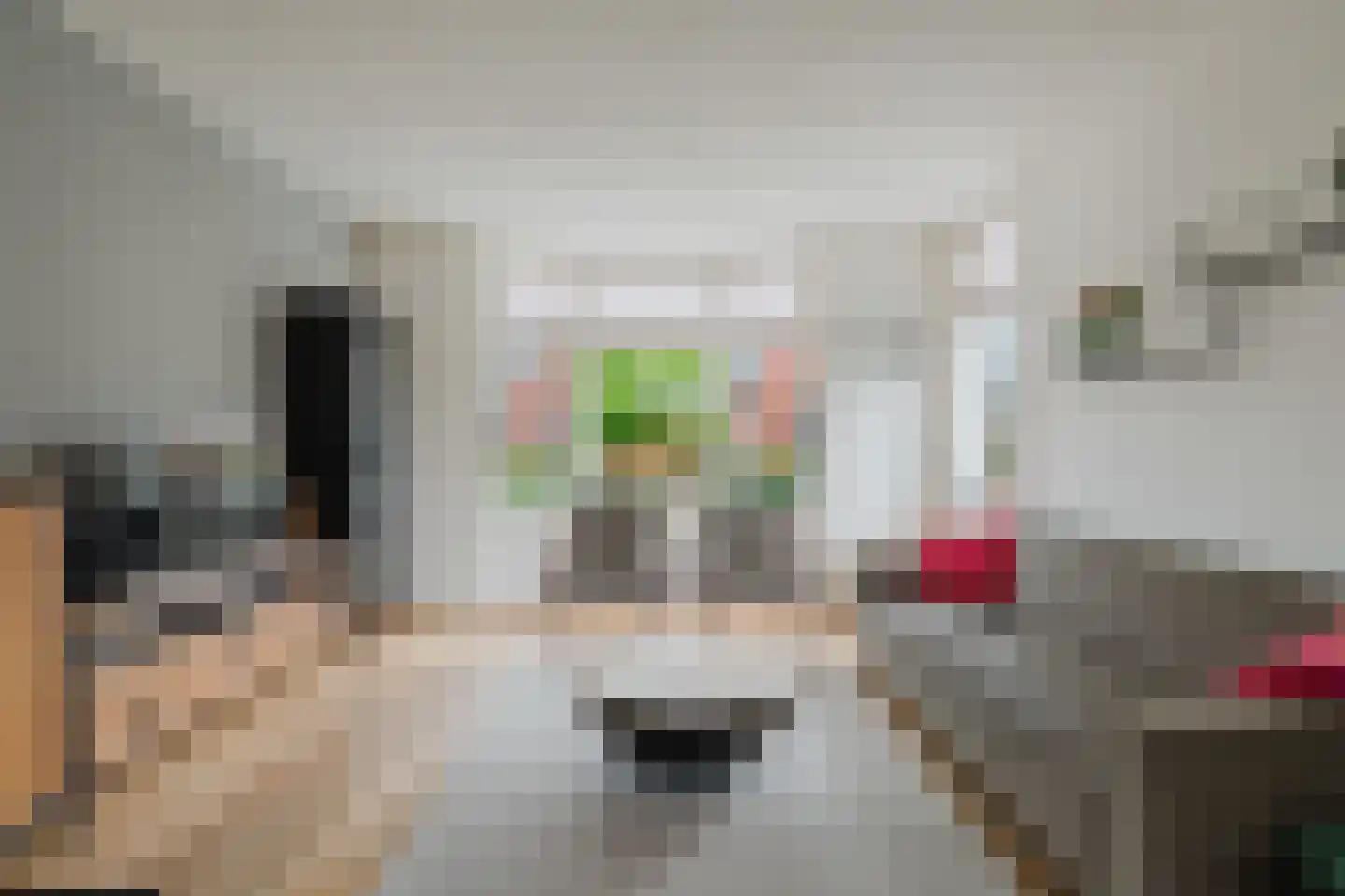 Heechfinne 7 Akkrum foto 3