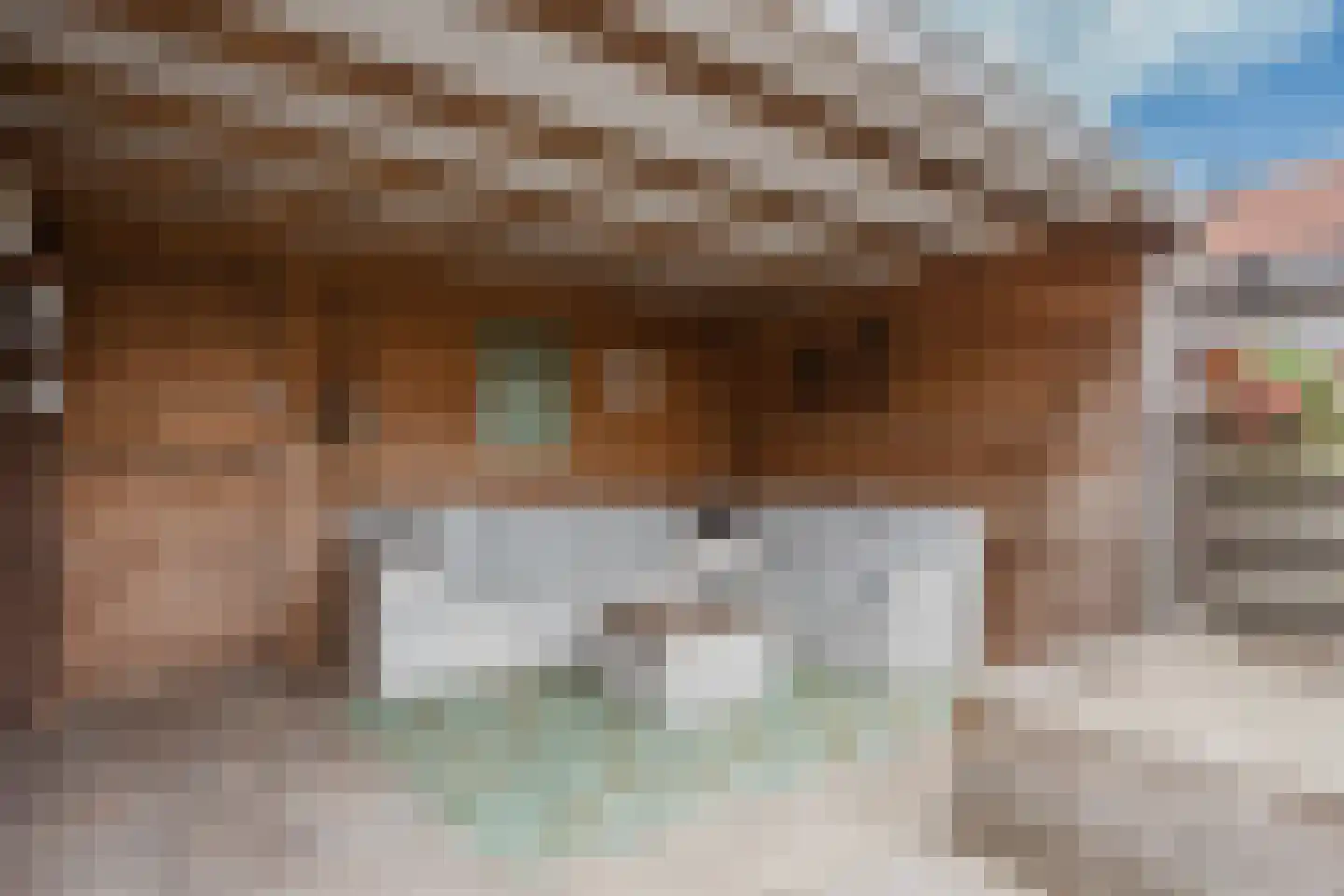 Heechfinne 7 Akkrum thumbnail 46