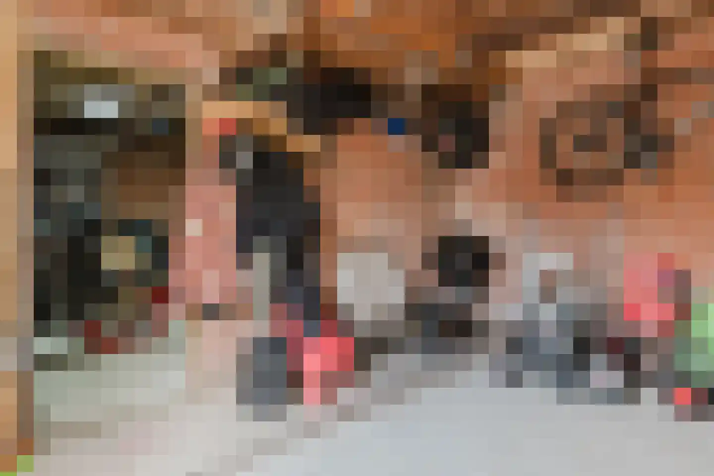 Heechfinne 7 Akkrum thumbnail 51