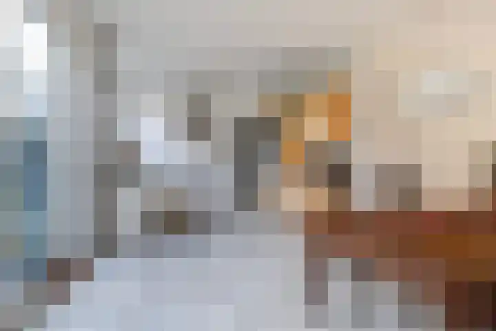 Heechhiem 5 Goutum thumbnail 14