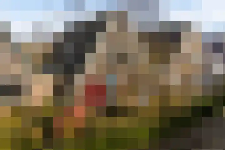 Heechhiem 5 Goutum foto 2