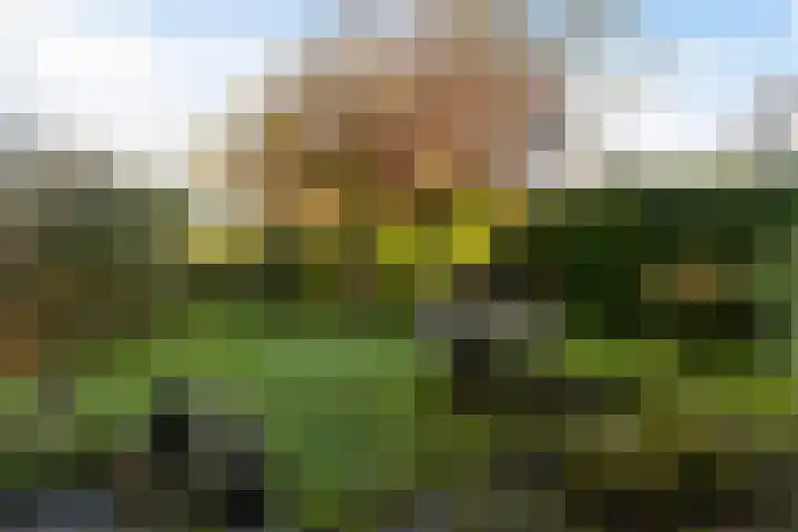 Heechhiem 5 Goutum thumbnail 21