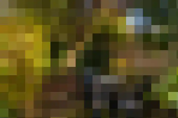 Heechhiem 5 Goutum thumbnail 23